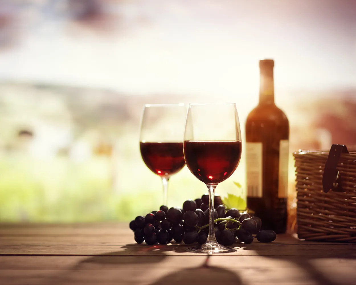 Winery Accordian