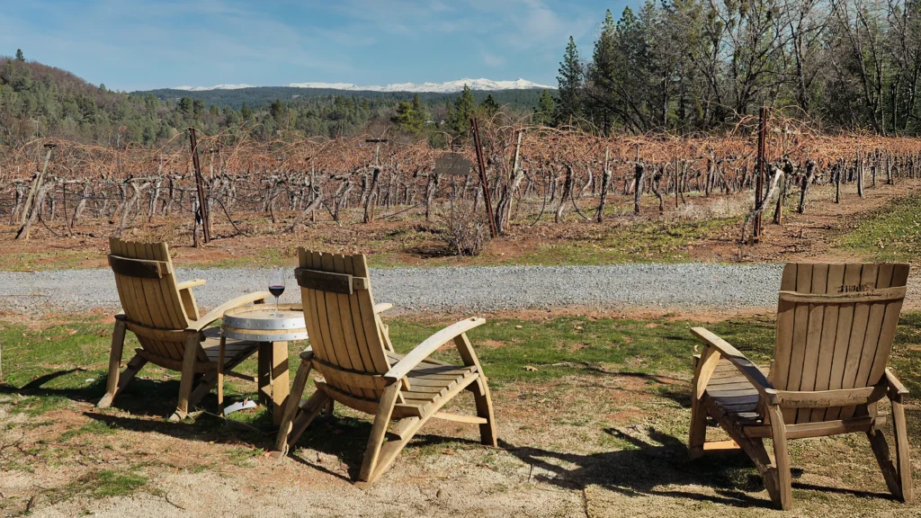 Wine tasting at an El Dorado County winery near Sacramento, California
